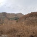 북산면사무소 이미지