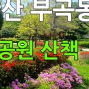 성호부동산공인중개사사무소 이미지
