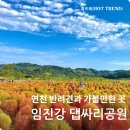 임진강 티스토리