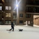 Well Med(웰메드) | [오슬로생존일기]노르웨이 전역에 폭설 &amp;웰 스파 방문