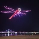 라라펫살롱 네이버블로그