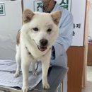 산청동물병원 이미지