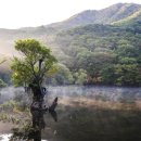 명성민박 이미지