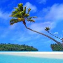 보라보라 이미지