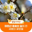 충혼탑(영천시) | 영천 마현산 충효의 길에는 새봄을 여는 희망의 꽃망울이~~!!