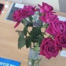 관악드림타운아파트경로당 이미지