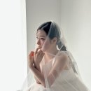노멀샵 - 전주시 덕진구 오송1길 37-7 | 노멀샵