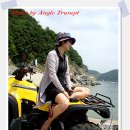 하야루비 이미지