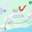 라카사 | 보홀 여행 가성비 숙소 라카사 디베아트리체(La Casa...가격 공항 픽업 룸컨디션 조식 수영장 후기