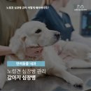 금릉동물의료센터 이미지