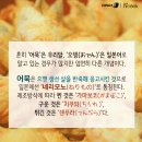 스토리쿡