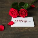 캘리그라피 자격증 네이버블로그