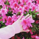 광주동운초등학교 이미지