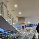 새하늘약국 | [대마도여행] 스타링크 노바호 수속 및 탑승 후기(kt에그 수령, 선내면세점)