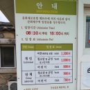 새신라장 | 경주 갈만한 곳으로 추천드리는 분황사 청보리밭