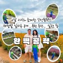 팜랜드02 | 안성팜랜드 완벽 가이드 | 6살 아이와 함께한 솔직 후기 (입장료·체험·꿀팁 총정리)
