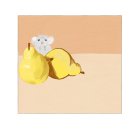 쥐 그리기 스페셜리스트 이미지