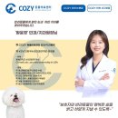 코지동물의료센터서