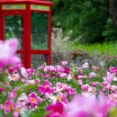 상동읍 꼴두바우공원 이미지