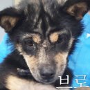 현주농산
