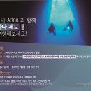 스카이라인투어
