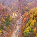 평창군 종합관광안내소 이미지