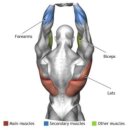 피티에이치 이미지