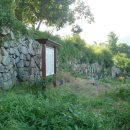 웅천읍성 이미지