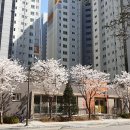 래미안황금공인중개사사무소 이미지