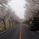 호랑이농장 이미지