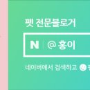 미소진호수펜션풀빌라 이미지