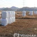 히든빈티지 이미지