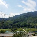 카페힐(CAFE HILL) 이미지