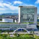 무안시장(무안임시시장) 이미지