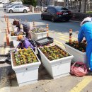 장평동주민센터 이미지