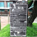 장평중학교 Daum카페