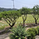 가평솔마당 이미지