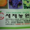 이중인 묘 이미지