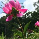 산토끼옹달샘 이미지