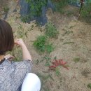 시간여행 펜션 이미지