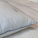 김세노 뷰티 펫 | 신혼 가구는 침대부터 시작! 시몬스 인천 논현점 방문 후기, 매트리스 추천