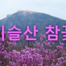 비슬산 이미지