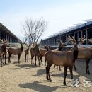 부흥산업 이미지