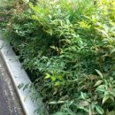 현동초등학교(병설유치원) 이미지