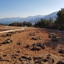 남해조경농원 이미지