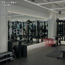 휘트니스 에일린 이미지