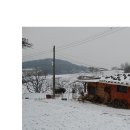 팔봉농장 Daum카페