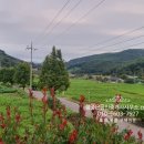 땅가게 공인중개사사무소 이미지