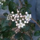 구성농장 이미지