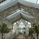 서안양우체국 앞 | 빌라드지디 안양 뷔페 주차 하객 솔직 후기(크리스탈 캐슬홀)